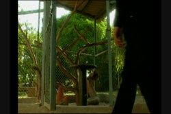 'Caribbean Heat' screenshot nº 103