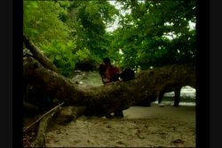 'Caribbean Heat' screenshot nº 132