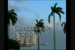 'Caribbean Heat' screenshot nº 2