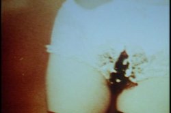 'Fantastic Naturals' screenshot nº 43