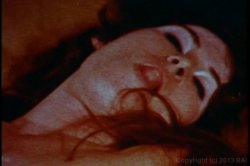 'Fantastic Naturals' screenshot nº 92