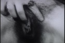 'Fantastic Naturals' screenshot nº 104