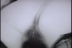 'Fantastic Naturals' screenshot nº 111