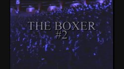 'Boxer 2' screenshot nº 1
