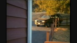 'Boxer 2' screenshot nº 16