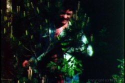 'Busen' screenshot nº 71