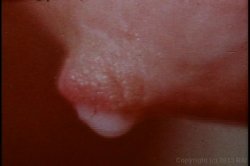 'Milk Juggs' screenshot nº 123