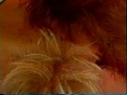 Captura de 'The Last Temptation of Kristi' nº 57