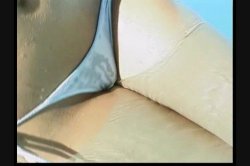 '18 and Nasty 10' screenshot nº 71