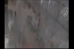 'Fur Traders' screenshot nº 76