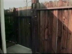 'Perverted Neighbors #2 (Mile High Xtreme)' screenshot nº 74