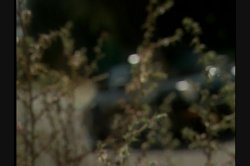 'Puppeteer' screenshot nº 29