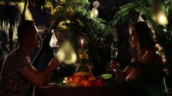 Captura de 'Junglelicious' nº 62