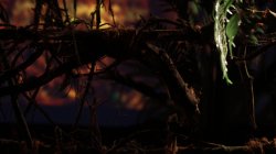 Captura de 'Junglelicious' nº 125