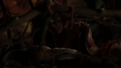Captura de 'Junglelicious' nº 138