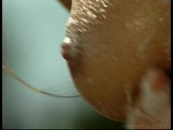 'Director's Wet Dreams' screenshot nº 75