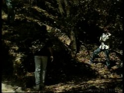 'Director's Wet Dreams' screenshot nº 88