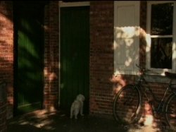 'Helen Does Holland' screenshot nº 36