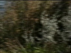 'Helen Does Holland' screenshot nº 68