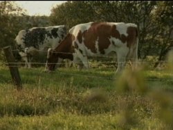 'Helen Does Holland' screenshot nº 97