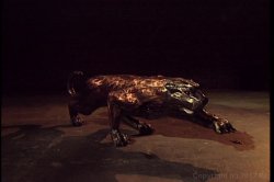 Captura de 'Touched For the First Time' nº 2