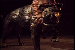 Captura de 'Touched For the First Time' nº 3
