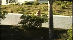 'Big Boob Cocksuckers' screenshot nº 51