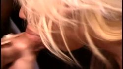 'Big Boob Cocksuckers' screenshot nº 107