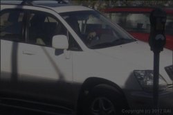 'Gossip' screenshot nº 27