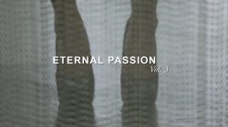 Captura de 'Eternal Passion Vol. 3' nº 1