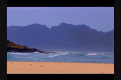 'Eden' screenshot nº 126
