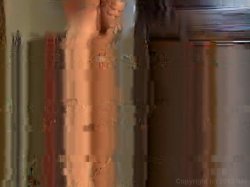 Captura de 'Pornstars Like It Big Vol. 9' nº 114