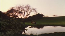 'Ribald Tales of Canterbury' screenshot nº 74