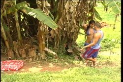 'Wild She Males of Brazil 1' screenshot nº 5