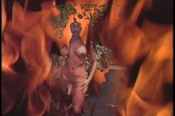 'Wild She Males of Brazil 1' screenshot nº 1
