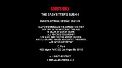 'Babysitter's Bush 4, The' screenshot nº 1
