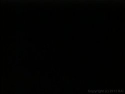 Captura de 'Kay Parker's Sex Play' nº 105