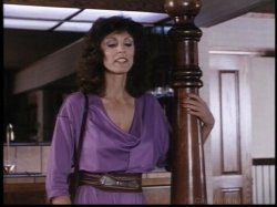 Captura de 'Kay Parker's Sex Play' nº 138