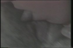 Captura de 'Teenage Years, The: Christy Canyon' nº 102