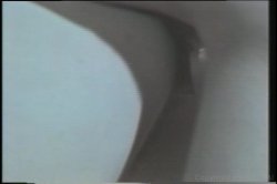 Captura de 'Teenage Years, The: Christy Canyon' nº 115