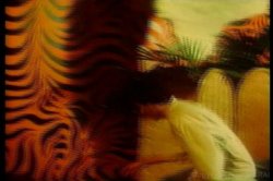 Captura de 'Kay Parker's All Star Sex Queens' nº 44