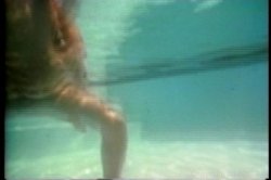 Captura de 'Kay Parker's All Star Sex Queens' nº 65