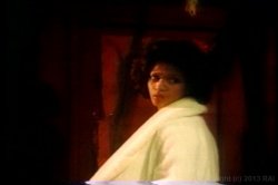 Captura de 'Kay Parker's All Star Sex Queens' nº 71