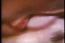 Captura de 'Kay Parker's All Star Sex Queens' nº 120