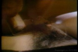 Captura de 'Kay Parker's All Star Sex Queens' nº 16