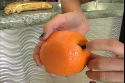 'Fresh Newcummers Vol. 1' screenshot nº 77