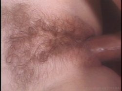 'Hairy Honies 14' screenshot nº 25