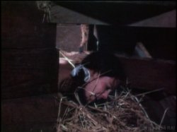 Captura de 'Desires Within Young Girls' nº 55