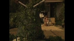 'Adam & Eve's Legendary Stars' screenshot nº 107