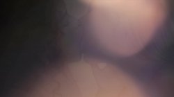 'Art of Kissing Vol. 5, The' screenshot nº 1